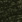 spacer olive